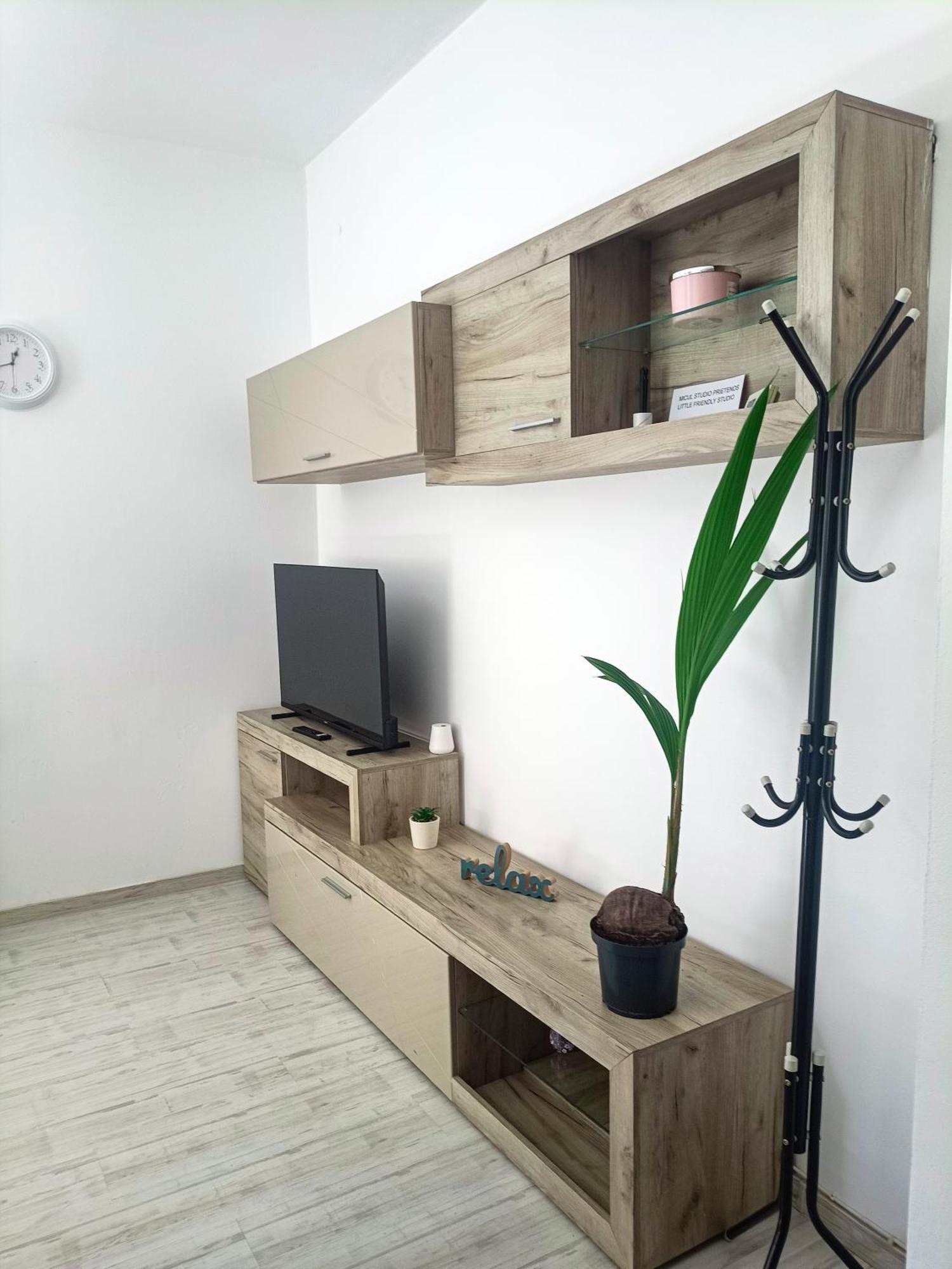 Friendly Little Studio Braşov Eksteriør bilde